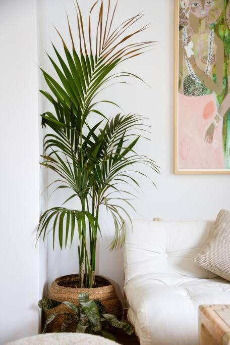 Mini Condo 2 Dl - Studio With A Private Patio Donja Lastva Luaran gambar
