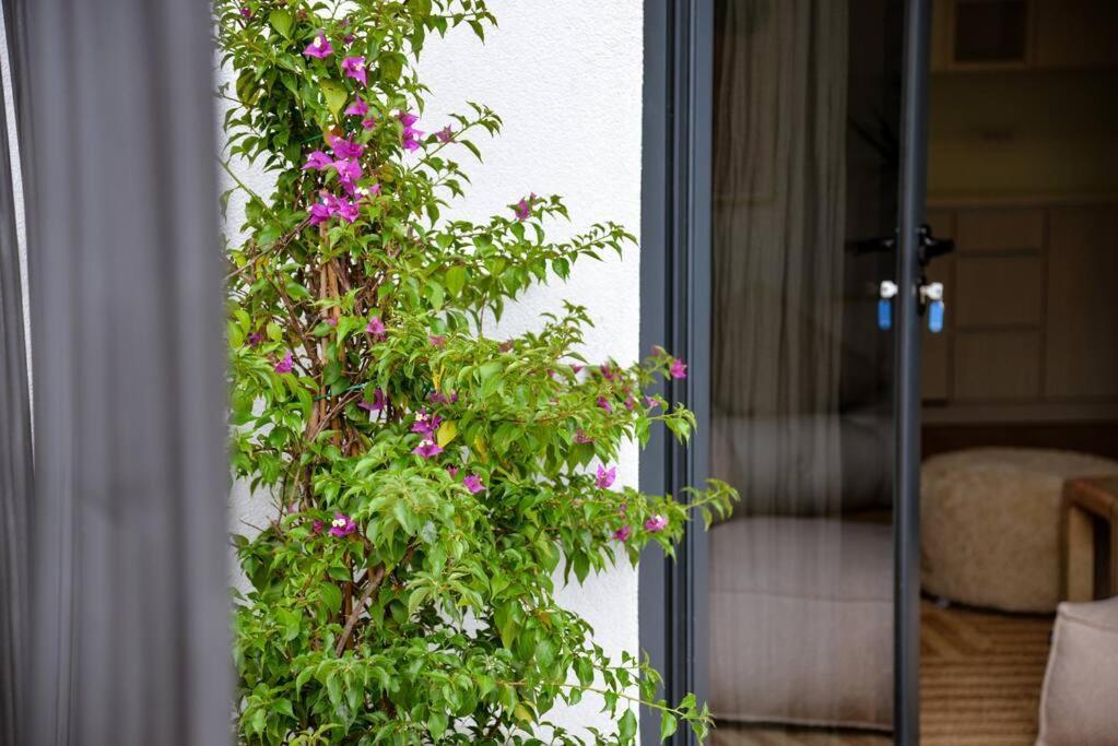 Mini Condo 2 Dl - Studio With A Private Patio Donja Lastva Luaran gambar